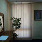 vertical blinds1